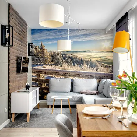 Gold Your Rodzinny 9 Apartment Krynica Zdroj